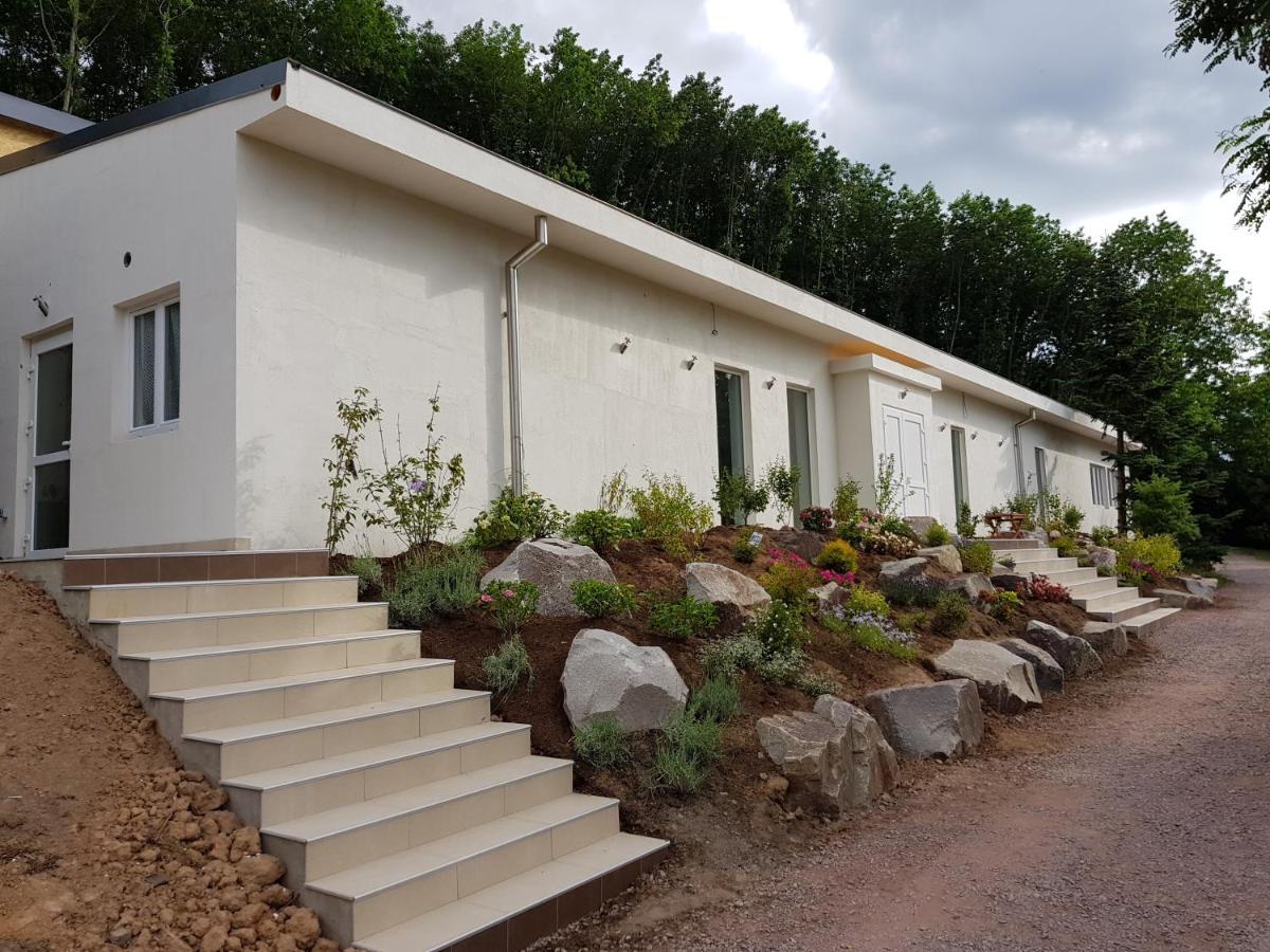 L'Ermitage Du Rebberg Villa Urmatt Eksteriør billede